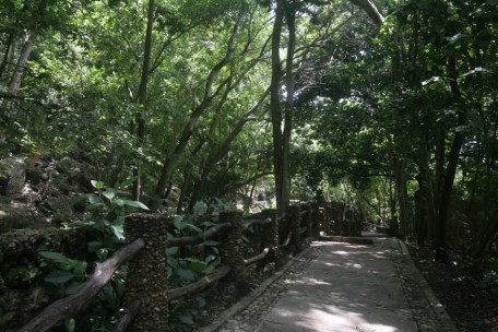 slideshow image
